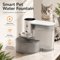 3L Smart Wireless Cat Water Fountain Cordless & Quiet.